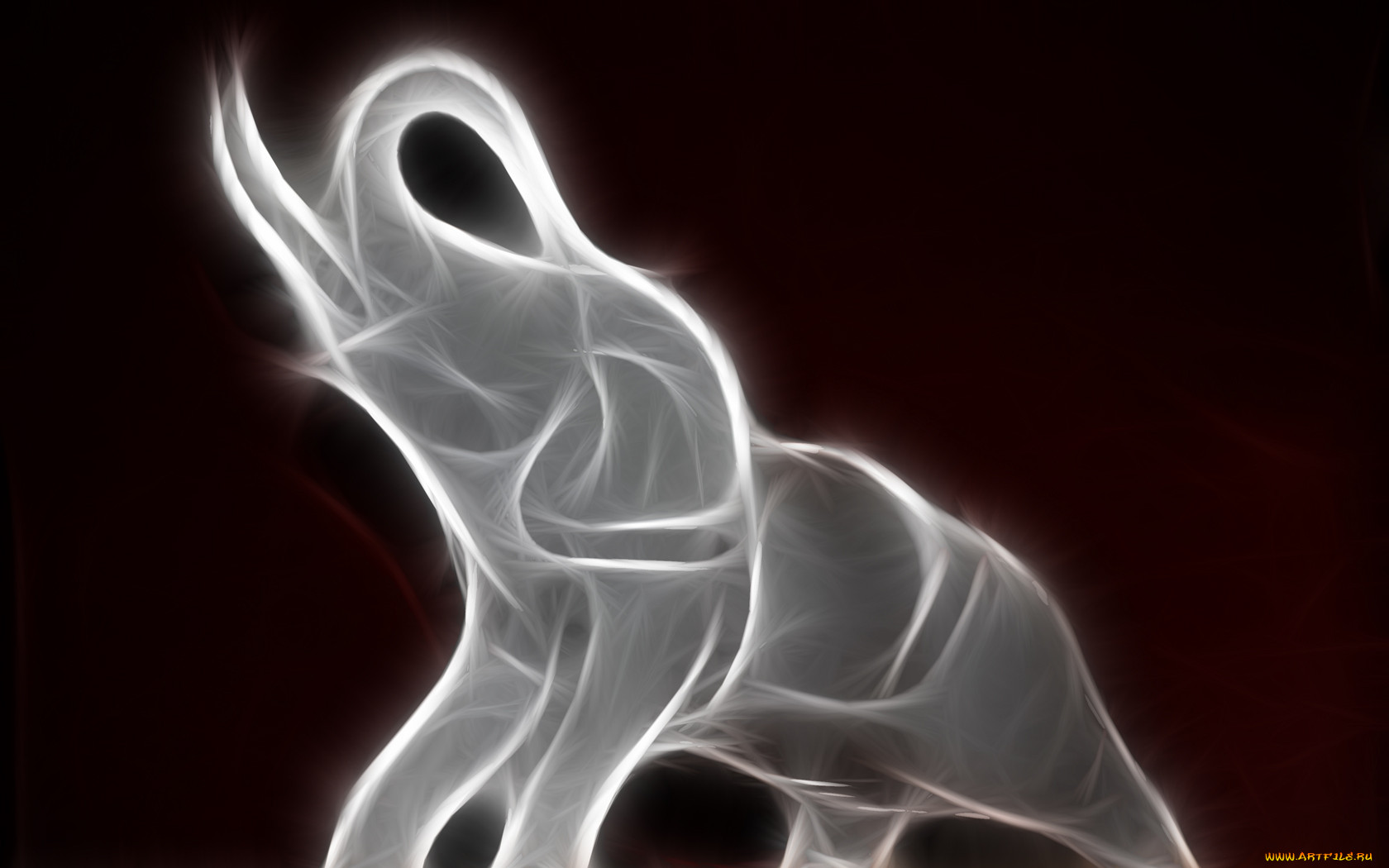 3, , animals, , , 